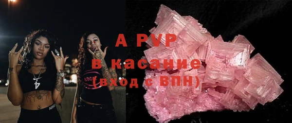 ГАЛЛЮЦИНОГЕННЫЕ ГРИБЫ Кукмор