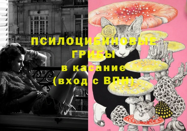 крисы Куйбышев
