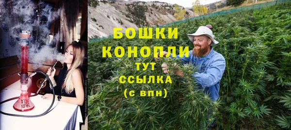 ГАЛЛЮЦИНОГЕННЫЕ ГРИБЫ Кукмор