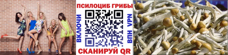 Галлюциногенные грибы мицелий  Новосиль 
